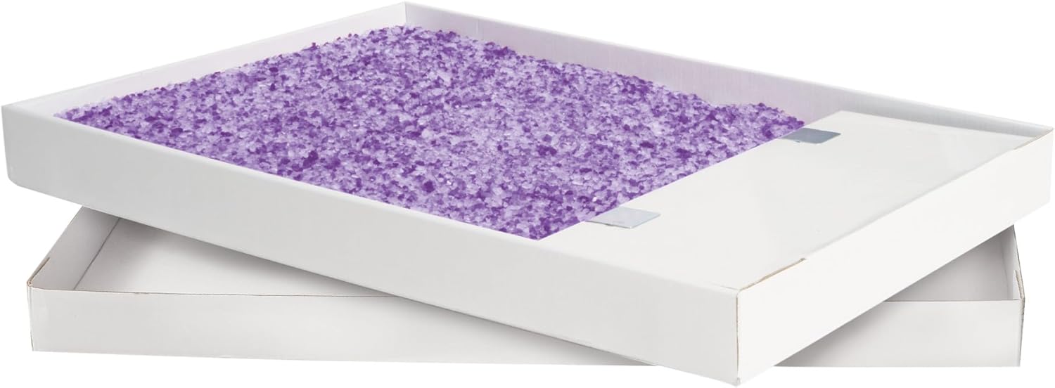 PetSafe ScoopFree Crystal Cat Litter Tray Refills – Fresh Scent, 3-Pack – Disposable Tray – Includes Leak Protection & Low Tracking Litter – Absorbs Odors On Contact
