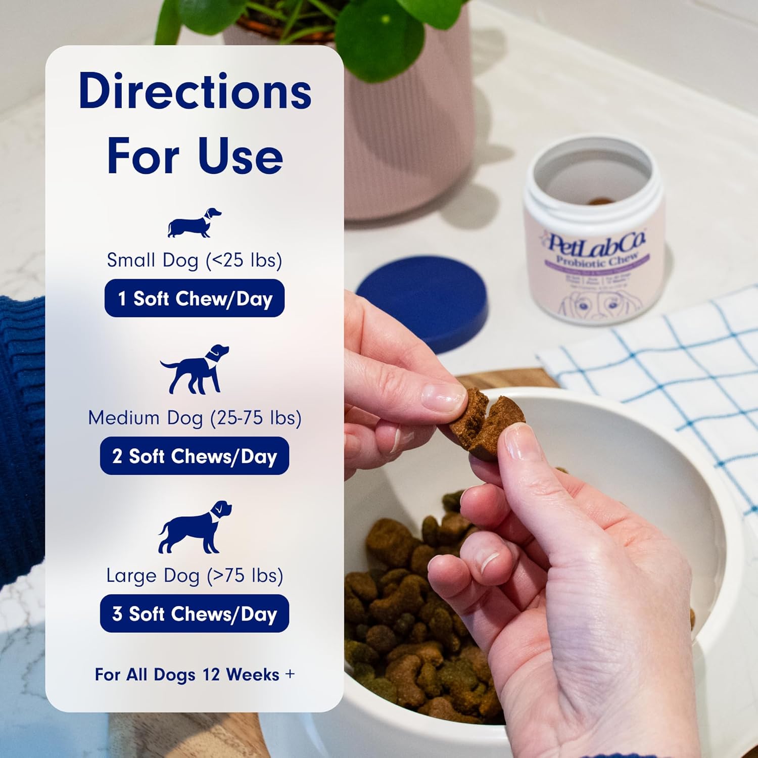 PetLab Co. Probiotics for Dogs, Support Gut Health, Occasional Diarrhea, Digestive Health & Seasonal Allergies - Pork Flavor - 30 Soft Chews - Packaging May Vary